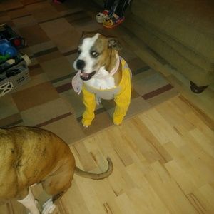 Meet your Posher, Christine